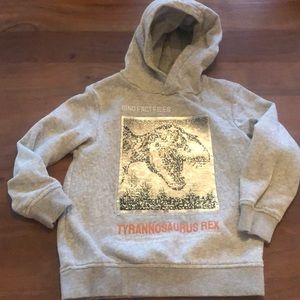 Boys H&M Dino Hoodie